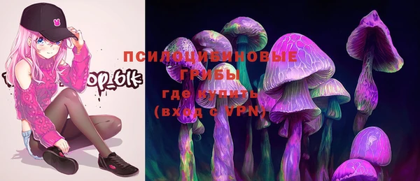 винт Верея