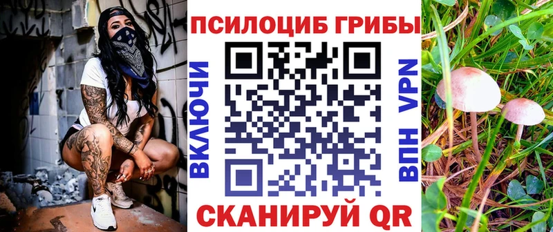 kraken ONION купить наркотики сайты Высоцк Псилоцибиновые грибы мухоморы